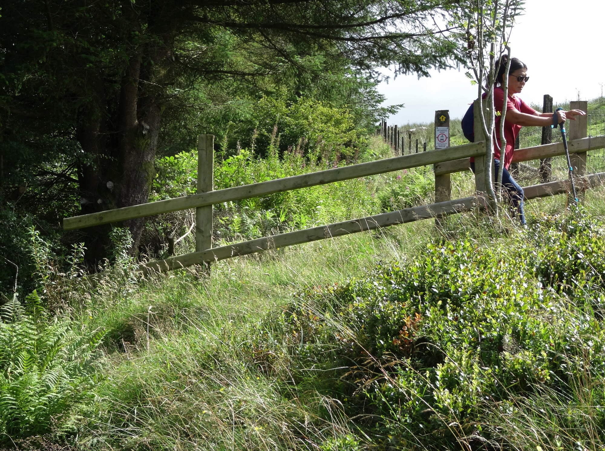 RachelSeabrook.net | Wild Walking | Craig y Pistyll | pic04